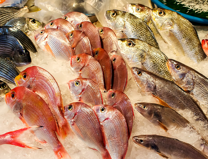 المعالجة التامة للمأكولات البحرية